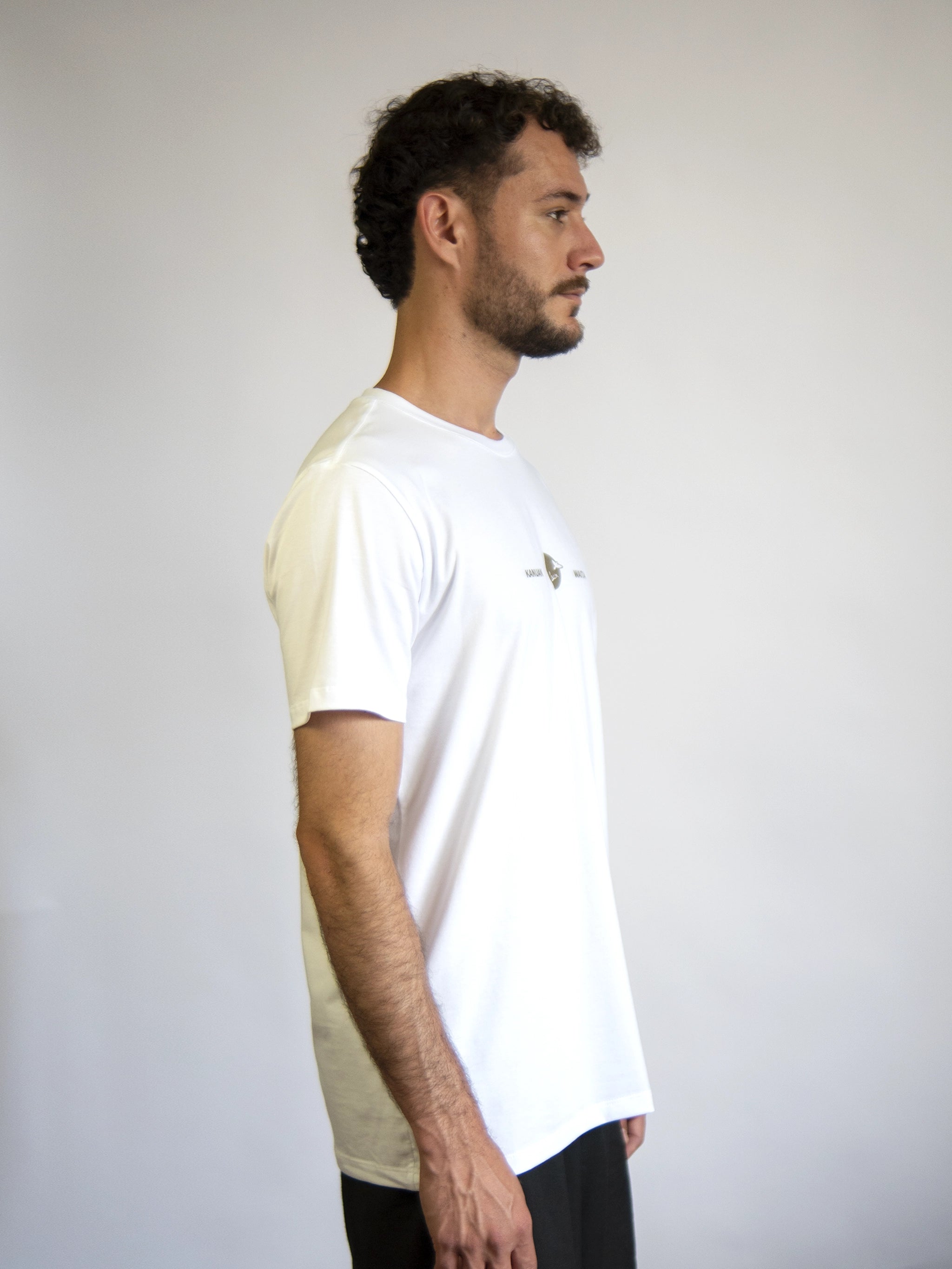 Camiseta Tamanduá! - Kanuan x Waita