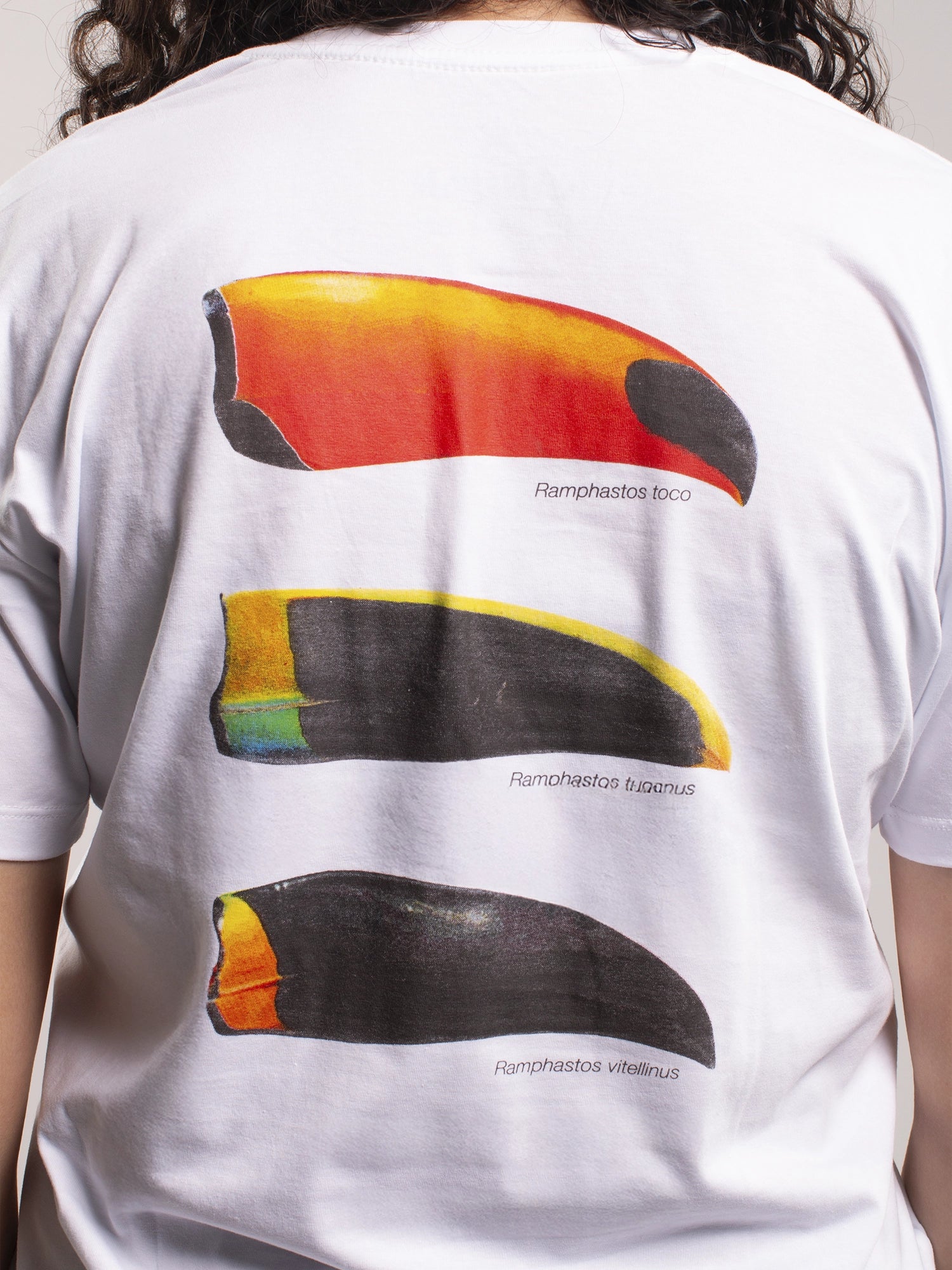 Camiseta Ramphastos